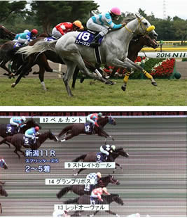 スプリンターズS_1