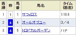 nigata9_104.jpg