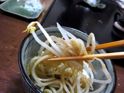 13-4-26　もやしたべ