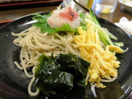 13-5-28　そじゃこおろしあぷ