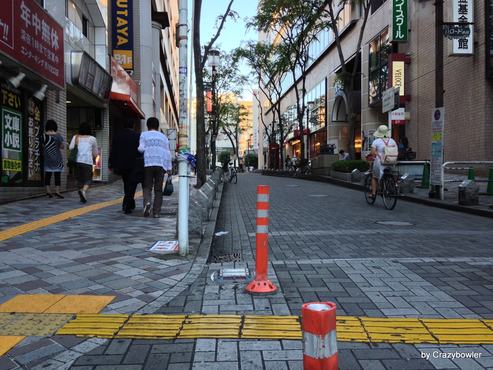 市川砂州【千葉県市川市】