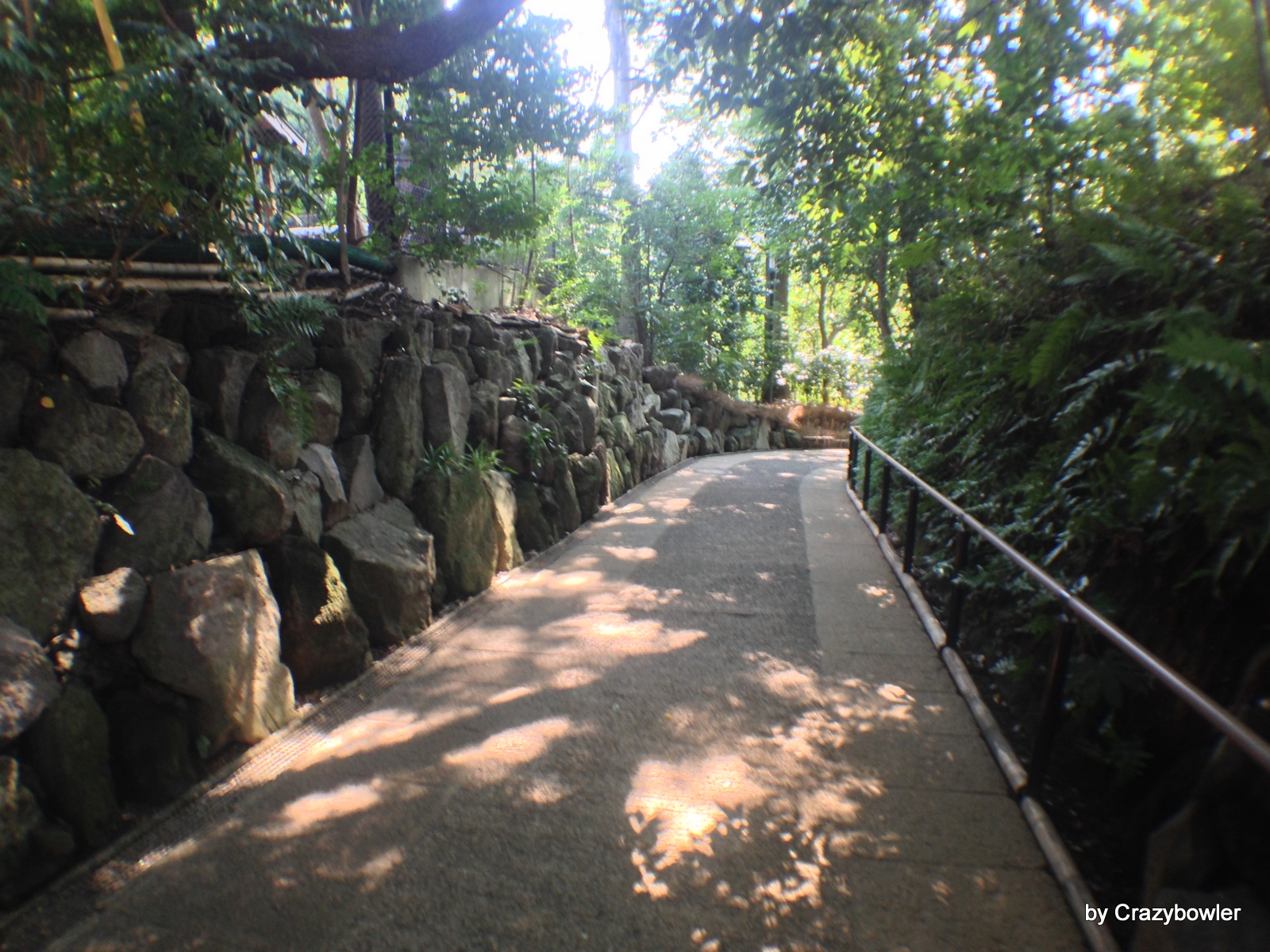 実篤公園の国分寺崖線【東京都調布市】