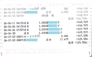2014.6ミニピンレスキュー収支報告