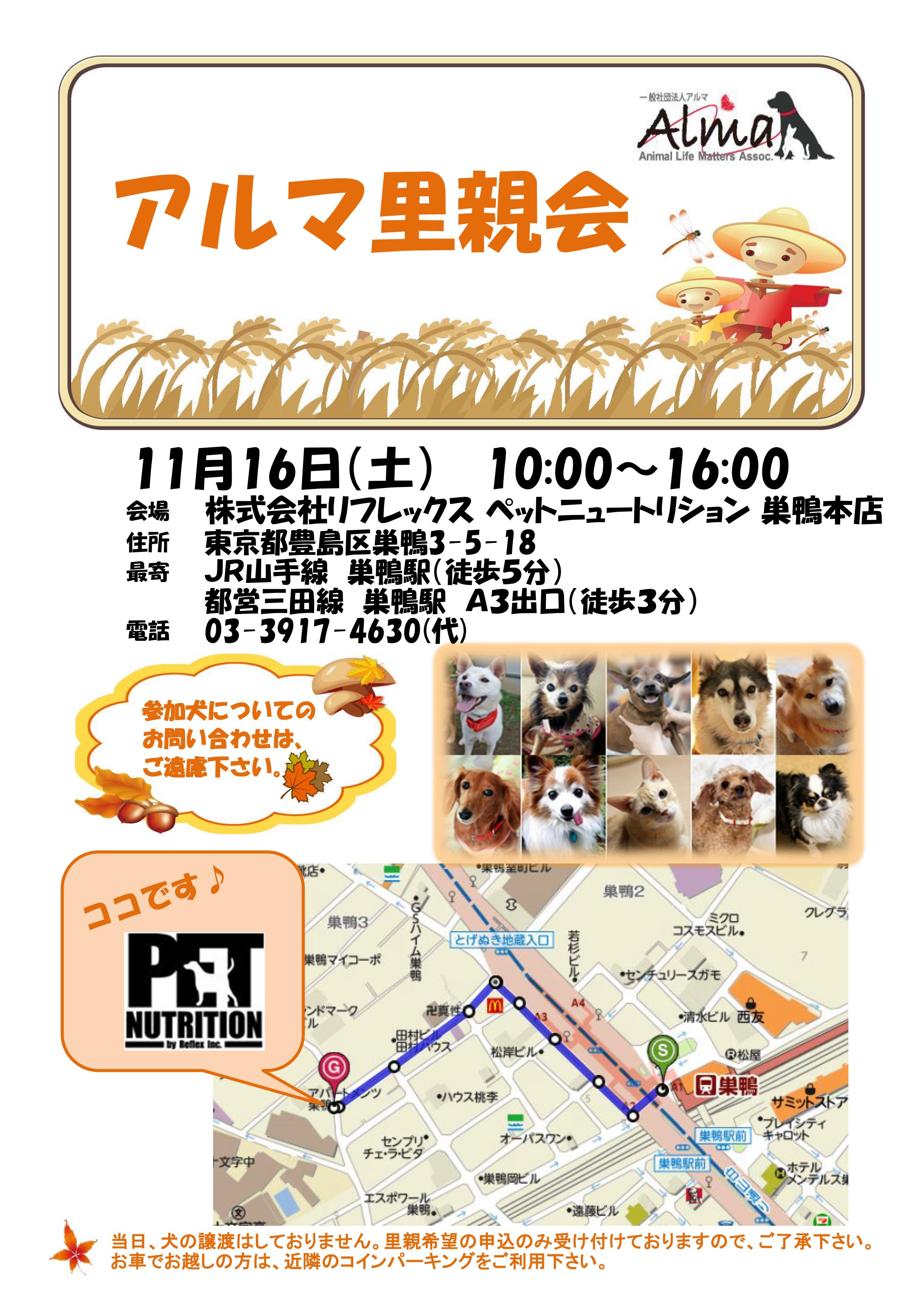 告知ポスター