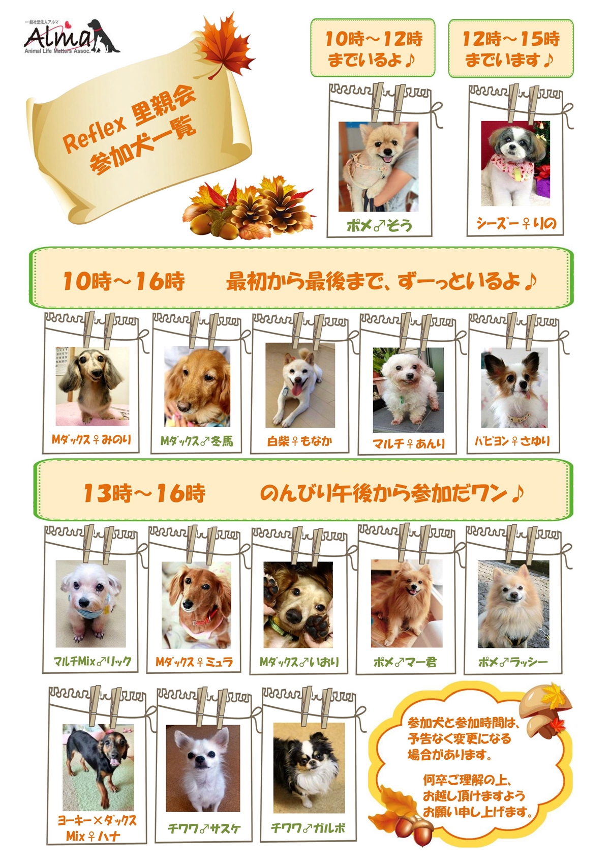 巣鴨参加犬_11_16