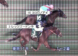 アルテミスＳ_1