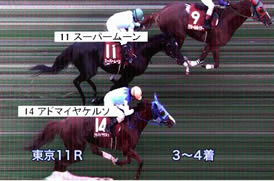 アルゼンチン共和国杯_1