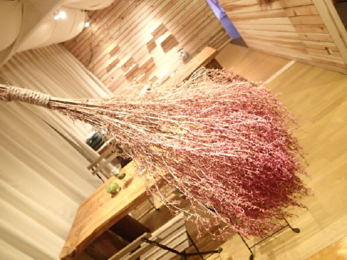 P2020001.jpg