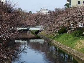 noppblog20130401_005
