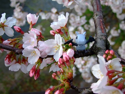 noppblog20130406_000