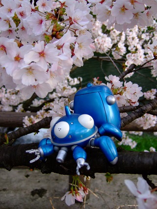 noppblog20130406_001