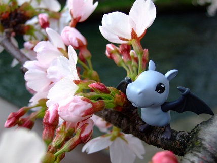 noppblog20130406_002