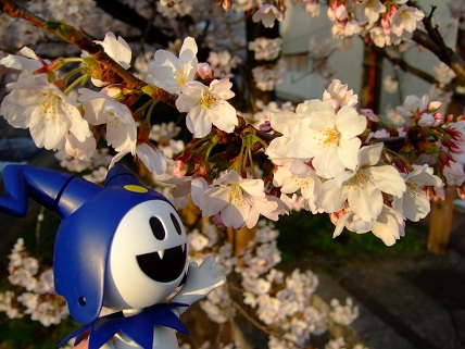noppblog20130406_003