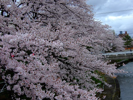 noppblog20130407_001