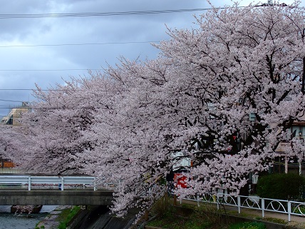noppblog20130407_003