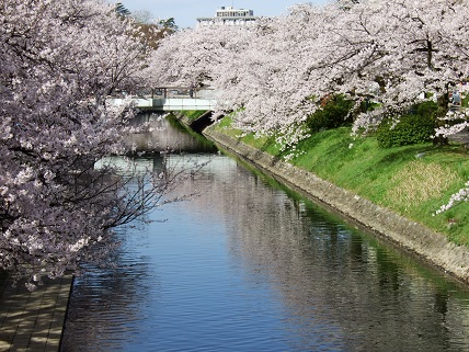 noppblog20130409_001