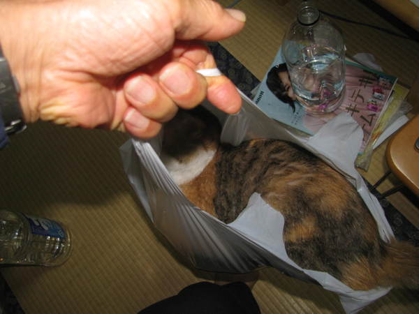 韓国系フランス人閣僚 ウリの成功はフランスのおかげニダ こりあうぉっちんぐ