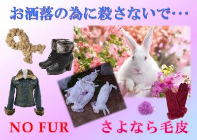 毛皮反対パネル4小