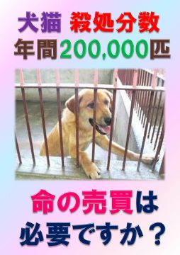 パネル ペット殺処分