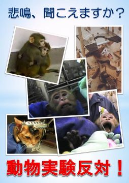 パネル 動物実験5枚