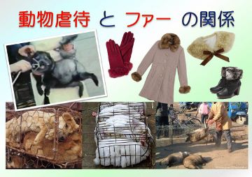 プラ 虐待とファー 360