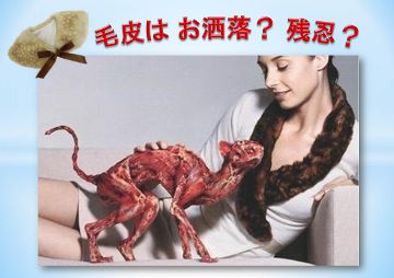 プラ 女性と猫 360