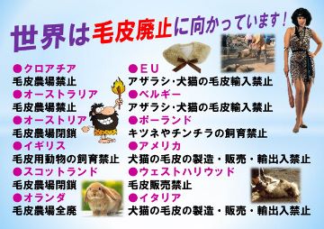 プラカード世界の動向 360