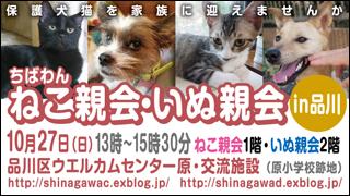 品川いぬ・ねこ親会