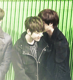 tumblr_mhv6x29lGQ1rblf33o1_250.gif