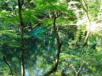 湧壺の池