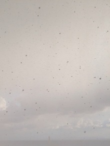 誰がために わたしは叫ぶ-image.jpeg