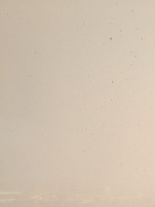 誰がために わたしは叫ぶ-image.jpeg