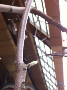 誰がために わたしは叫ぶ-image.jpeg