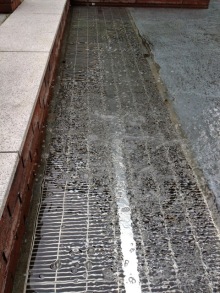 誰がために わたしは叫ぶ-image.jpeg