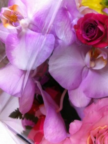 誰がために わたしは叫ぶ-image.jpeg