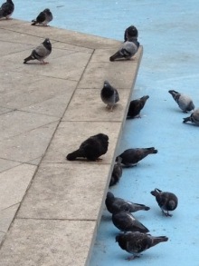 誰がために わたしは叫ぶ-image.jpeg