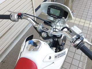 P1010377.jpg
