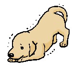 犬からのsos 犬の祈りのポーズとは トリミングサロン Friend Wanのブログ