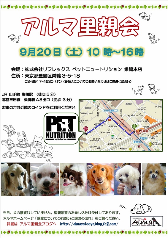 Reflex告知ポスター140920