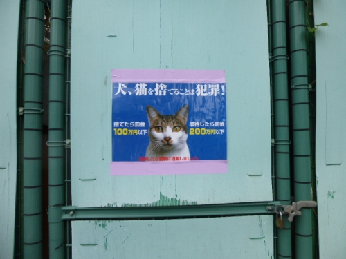 P1040250.jpg