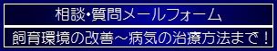 【相談・質問メールフォーム】へ