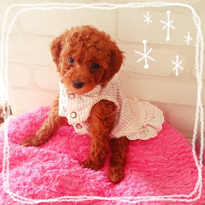 Camely_20140606_174411.jpg