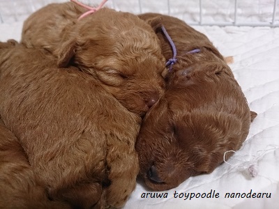 DSC_4928.jpg