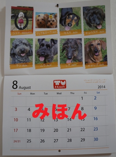 DSC02193 (593x800) (474x640)