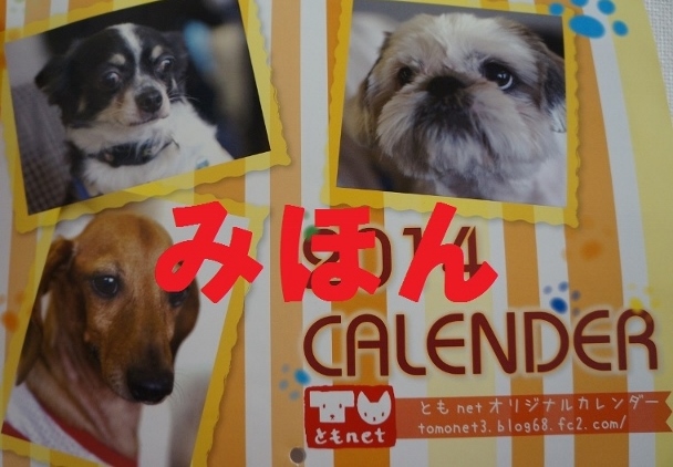 DSC02197 (800x531) (640x425)