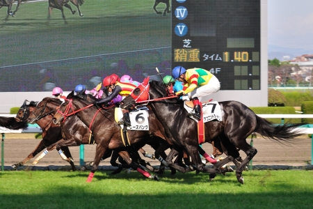 オッズ解析メールマガジン