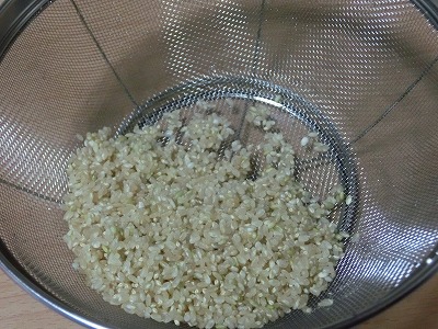 玄米洗米