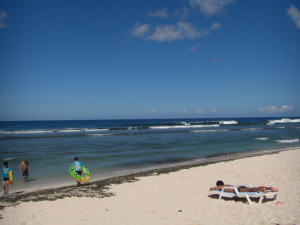 beach.jpg