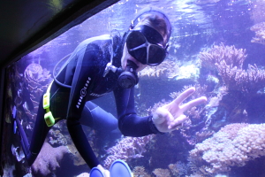 suizokukannohito_20140224221418b05.jpg
