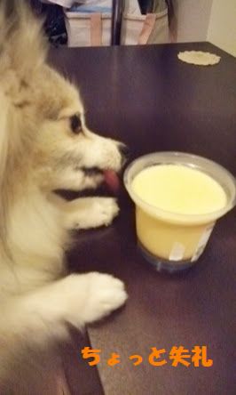 プリン２